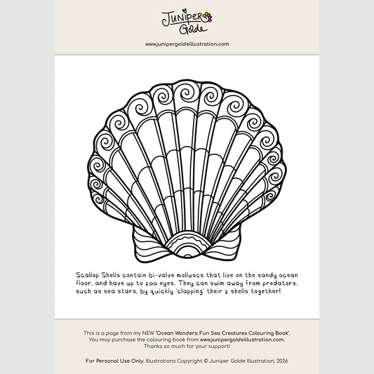 Colouring Page | Scallop Shell | Digital Download